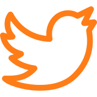 x icon